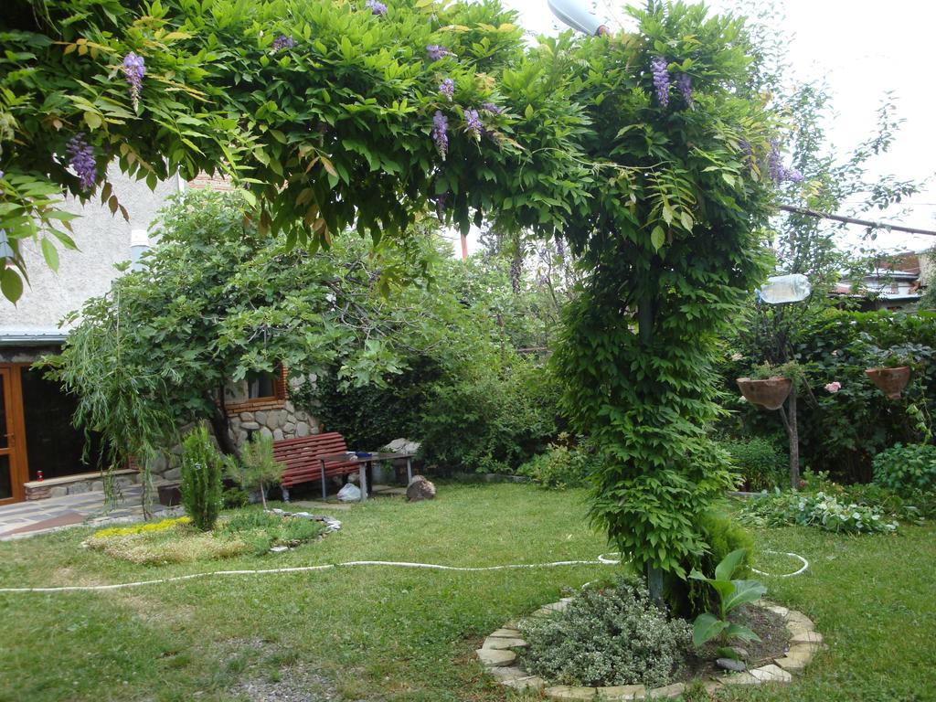 Tamari Guest House Telavi Exterior foto