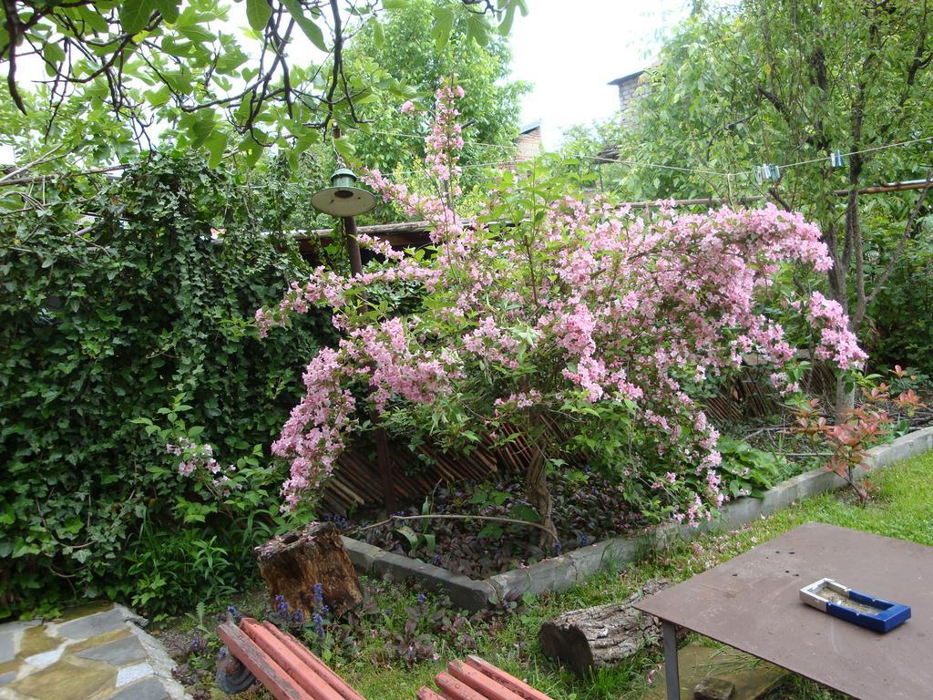 Tamari Guest House Telavi Exterior foto