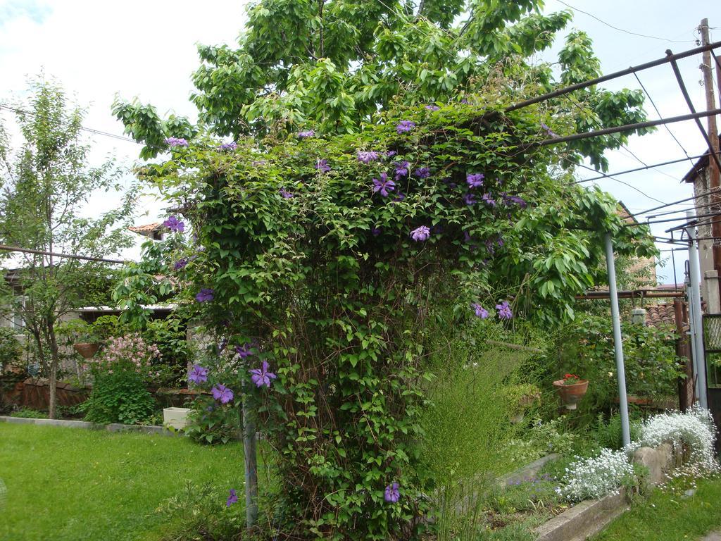 Tamari Guest House Telavi Exterior foto